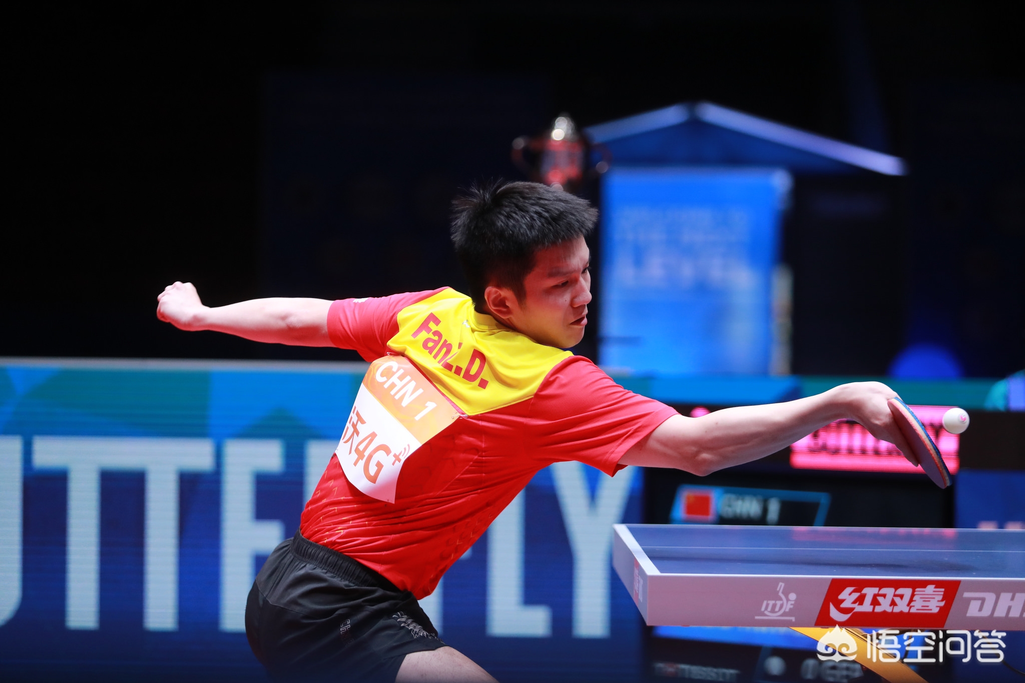 不仅是两位 不仅是两位